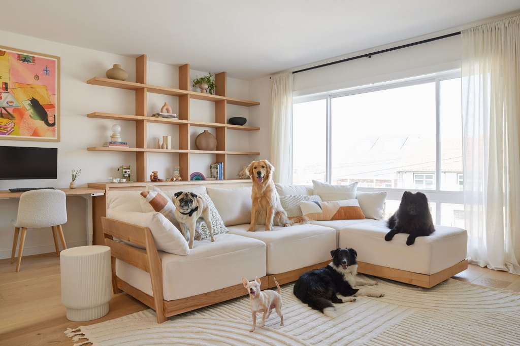 Living Area SF Remodel by EKVA