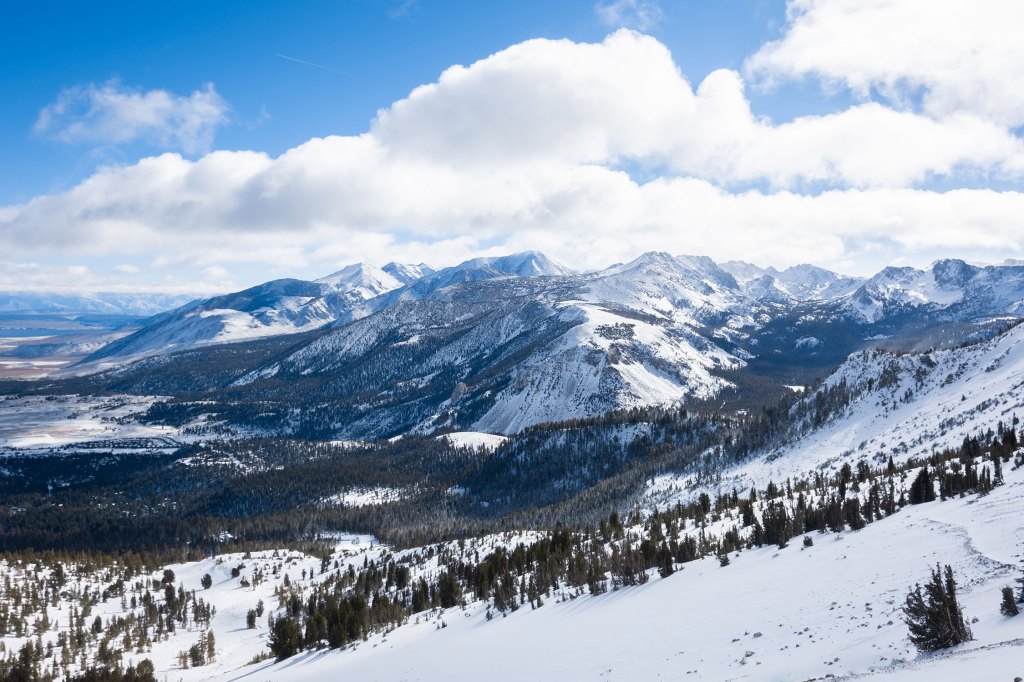 Mammoth Snow
