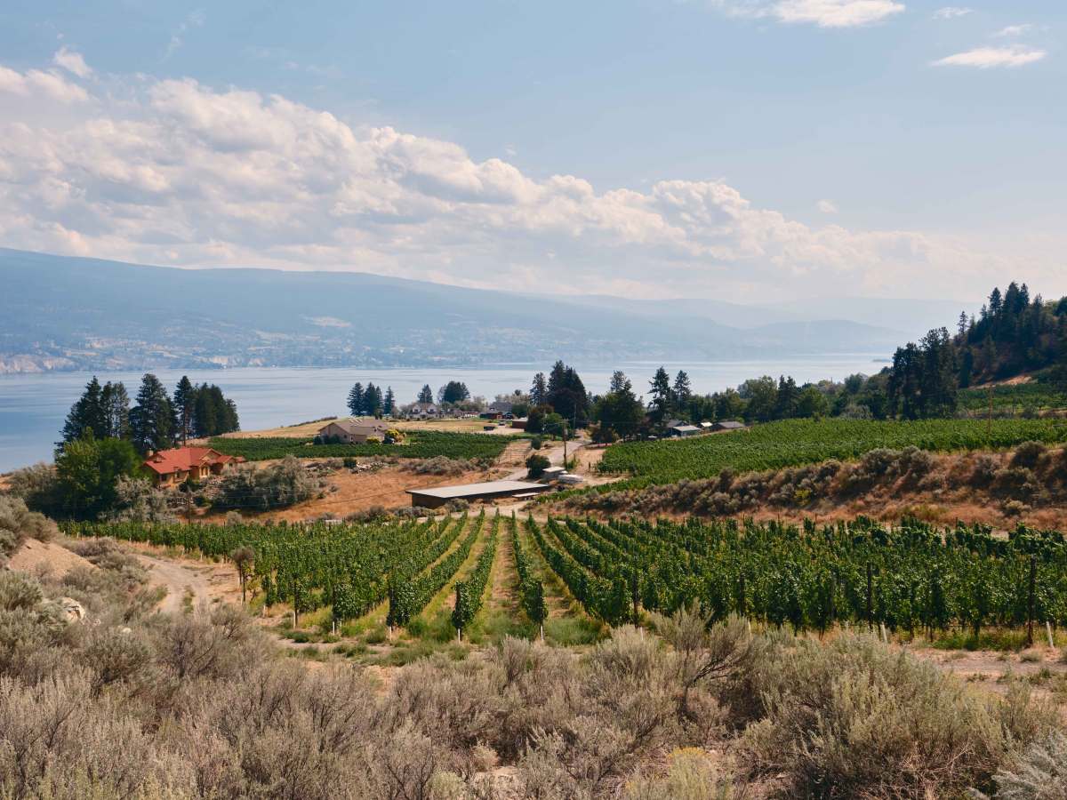 Sage Hills Estate Winery