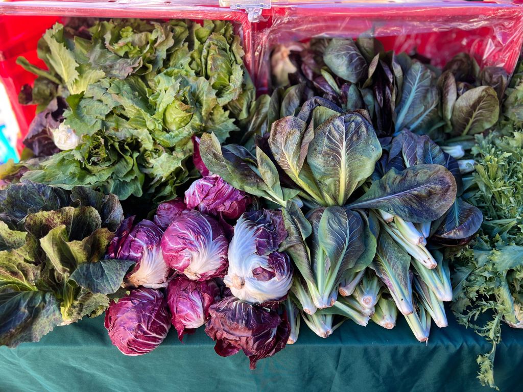 Different varieties of leafy greens on a table.