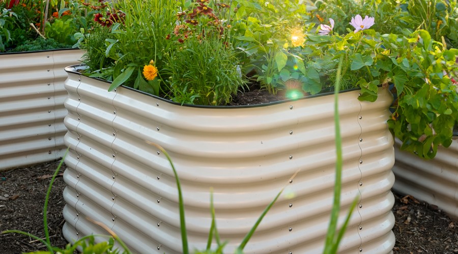 The Raised Bed Upgrade to Make This Fall
