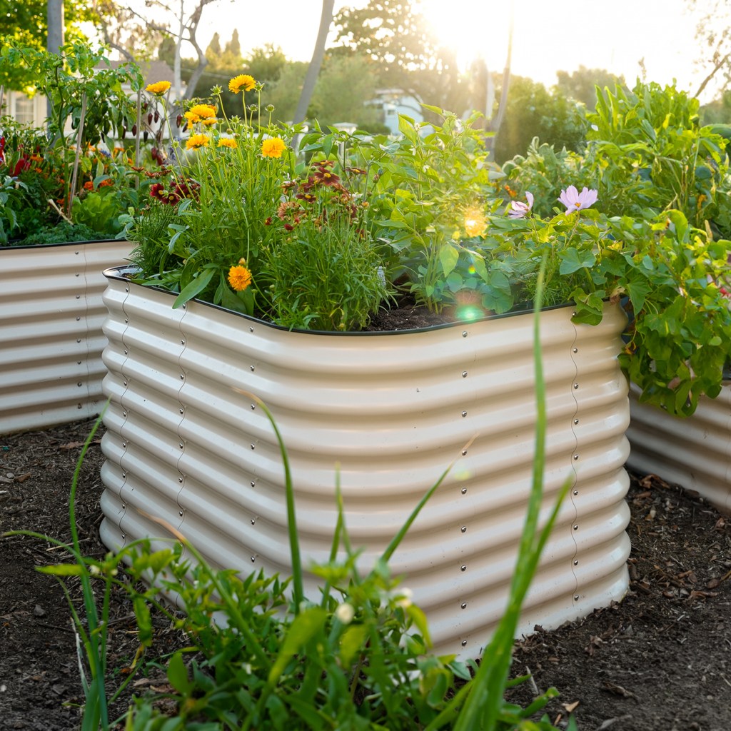 The Raised Bed Upgrade to Make This Fall