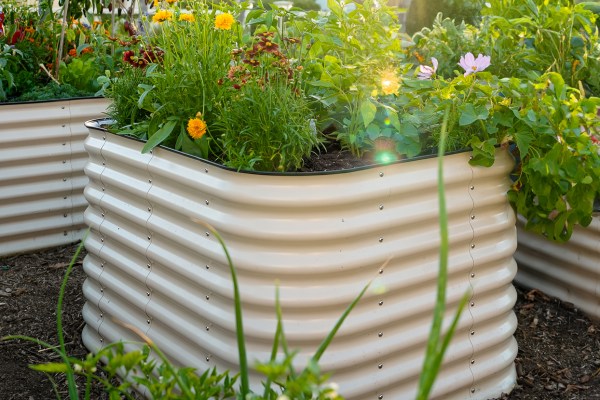 The Raised Bed Upgrade to Make This Fall