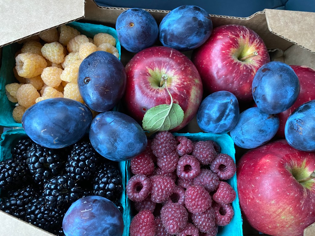 Fruit varities at Raising Cane Ranch.