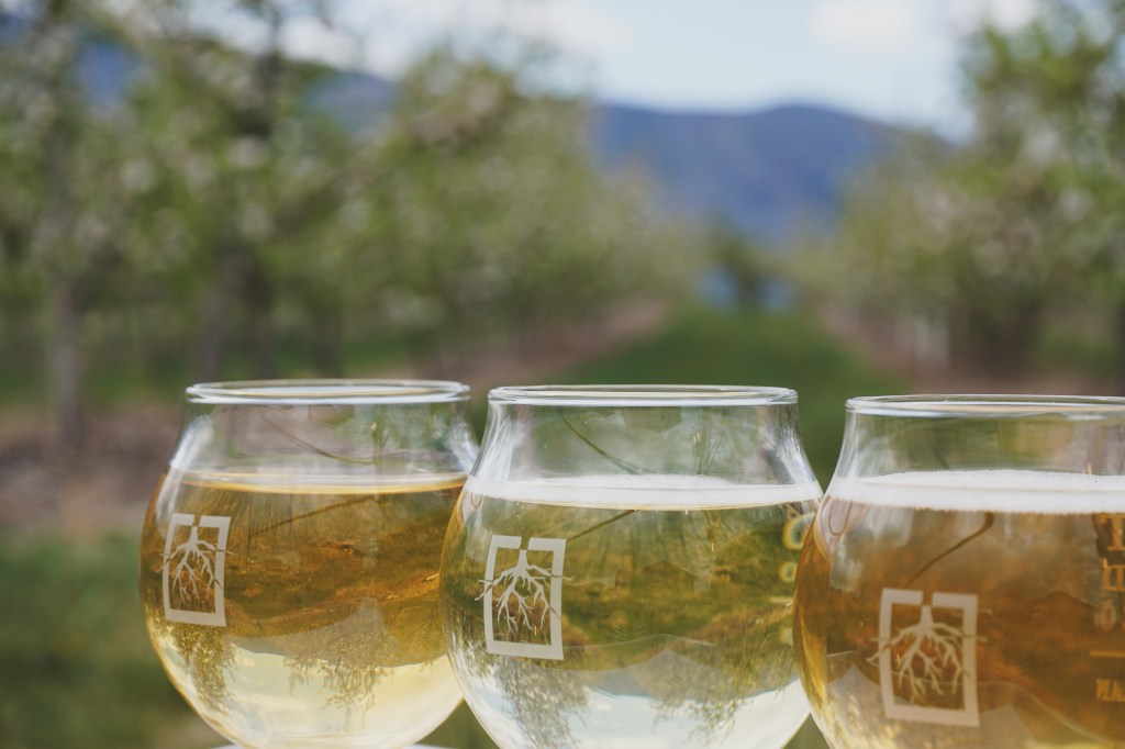 Cider varieties at Rootwood