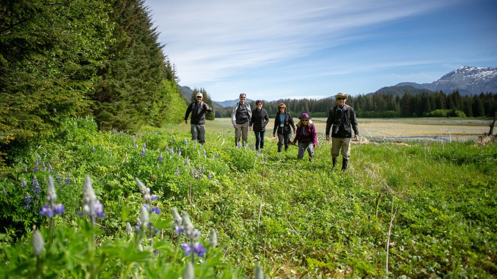 Shorewalk on Baranof Island