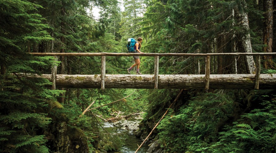 It's National Parks Week—Here's How to Explore Them Easily (and for Free!) Right Now