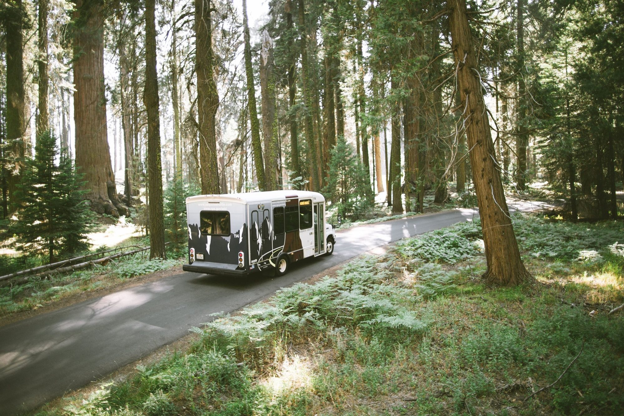 Sequoia Wheeled Trolley