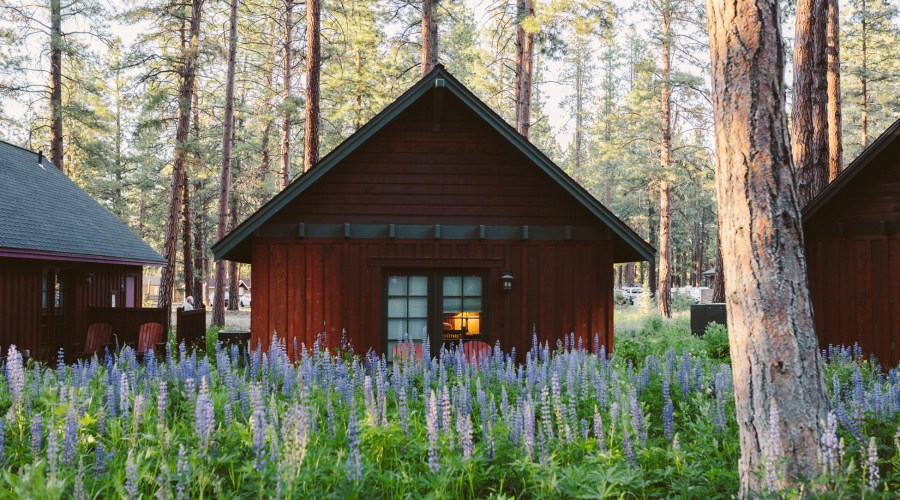 2021 Travel Awards: Desirable Destination