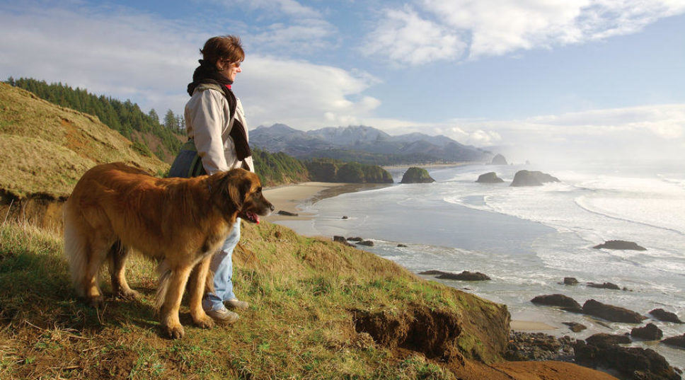 Top 10 Dog-Friendly Escapes