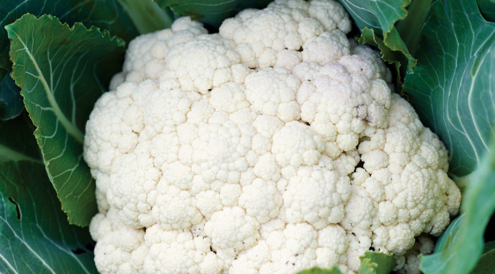 Garden-to-Table Guide to Cauliflower