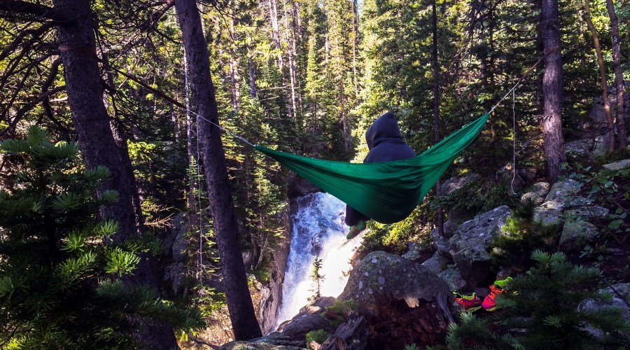 hummingbird-hammocks