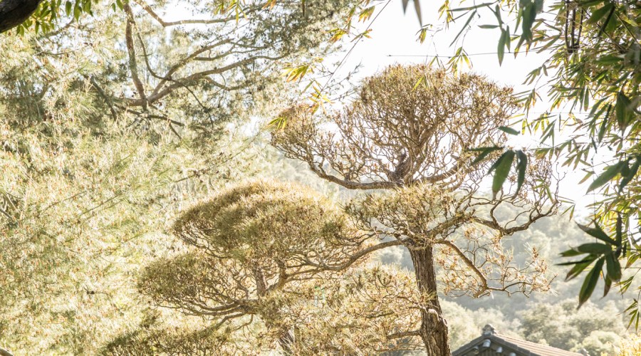 2021 Travel Awards: Superlative Spas