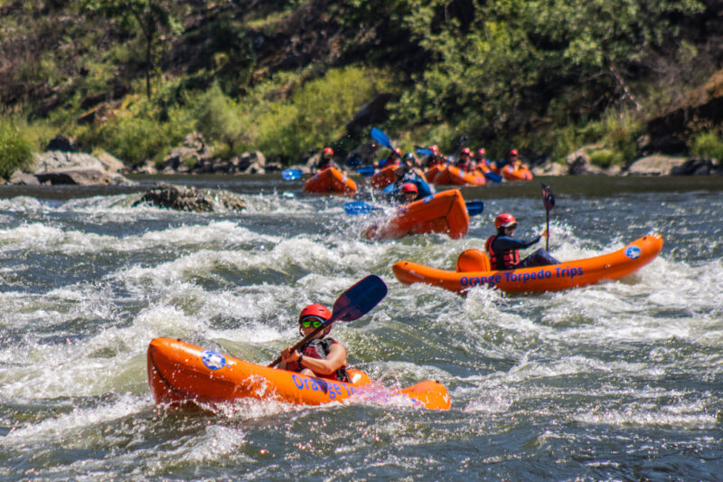 Orange Torpedo Trips