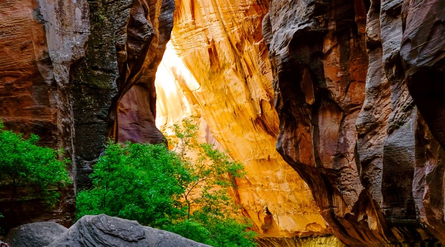 comfortable-hiking-in-zion-national-park-ut