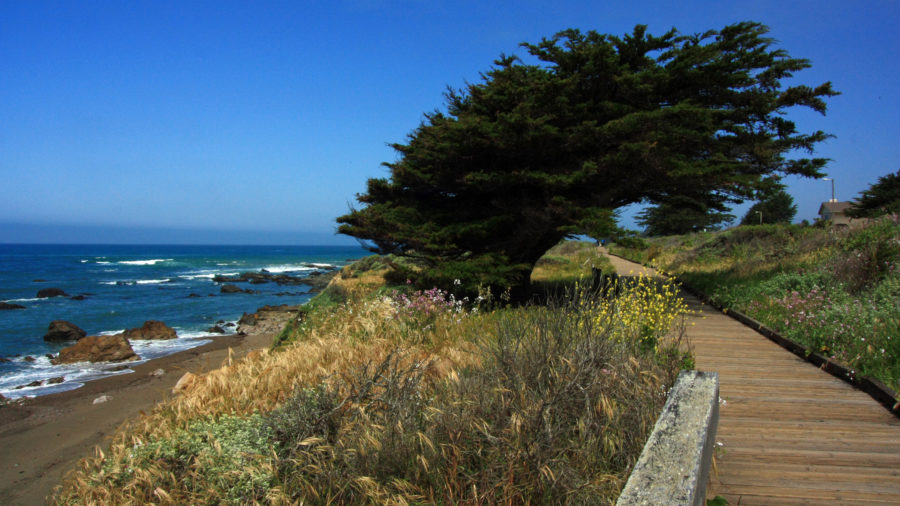 East West Ranch has the best hikes in Cambria, CA