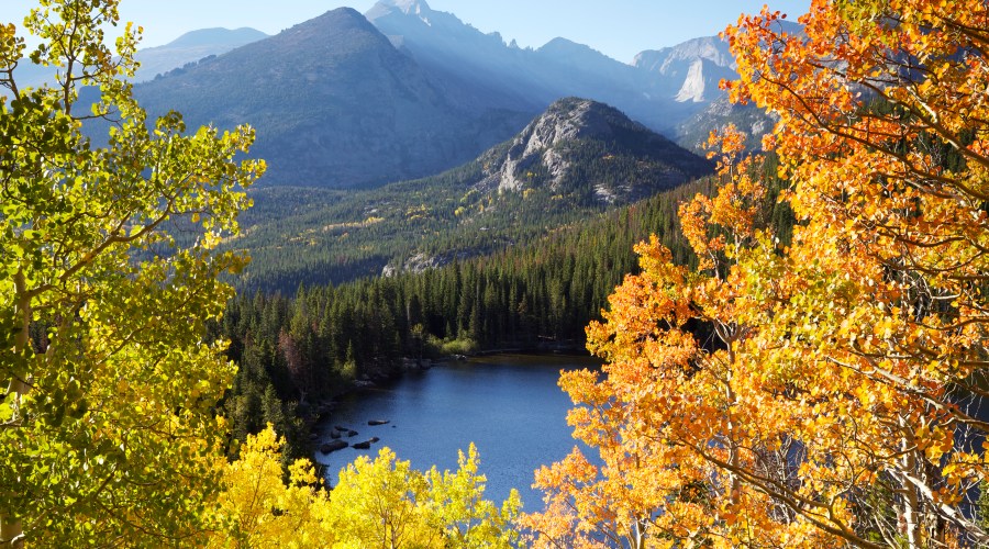 quaking-leaves-in-rocky-mountain-national-park-co