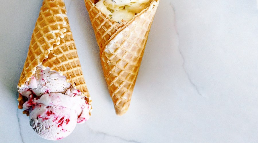 a-day-in-the-orchards