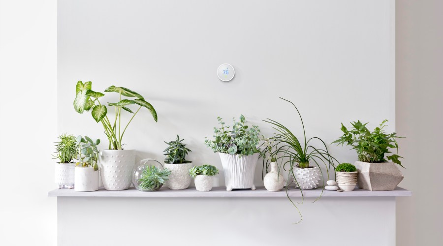 google-home-starter-combo