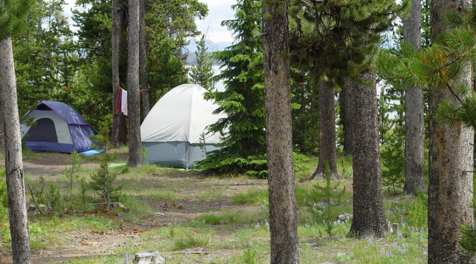 Best Campgrounds in Yellowstone