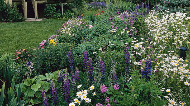 Garden Border Ideas - Sunset Magazine