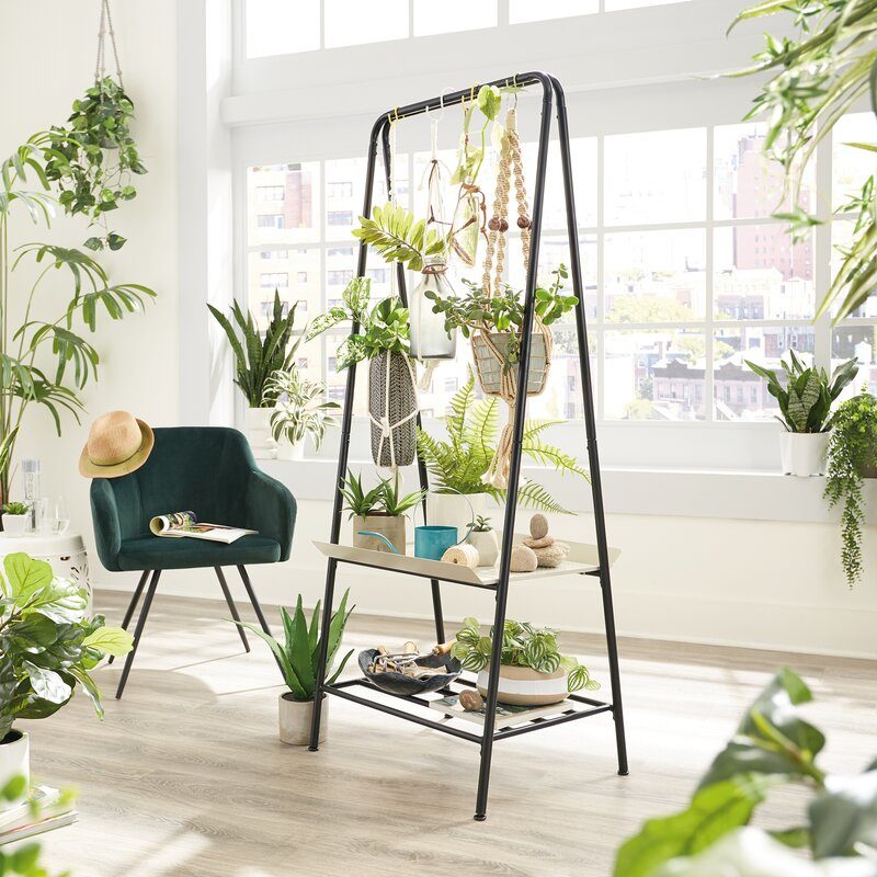 plant table indoor