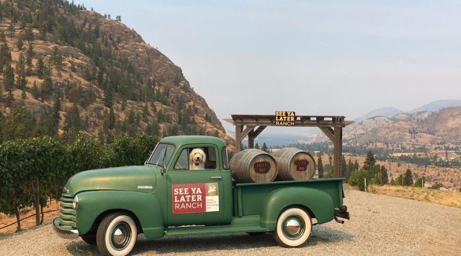 Wineries and Breweries Where You and Your Pet Are Welcome