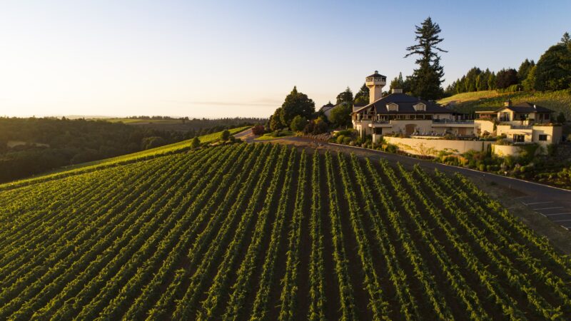 Willamette Valley Vineyards