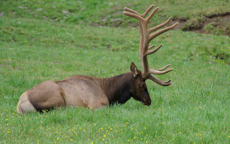 Top Rocky Mountain National Park Attractions - Sunset Magazine