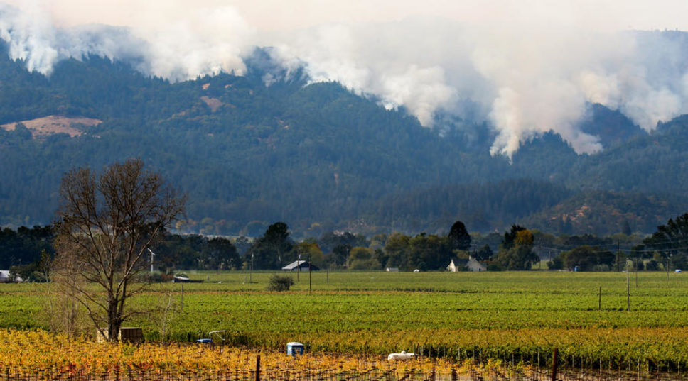 How the Northern California Wildfires Could Change the Wine Industry Forever