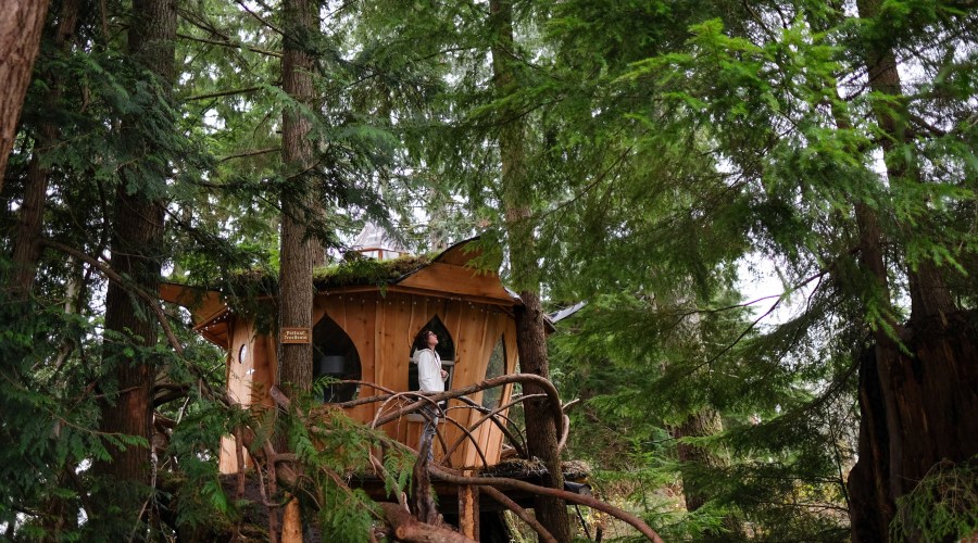 fairytale-treehouse