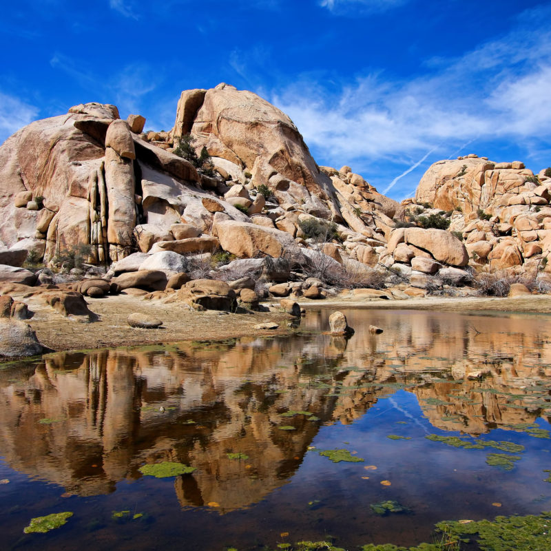 best place to visit joshua tree