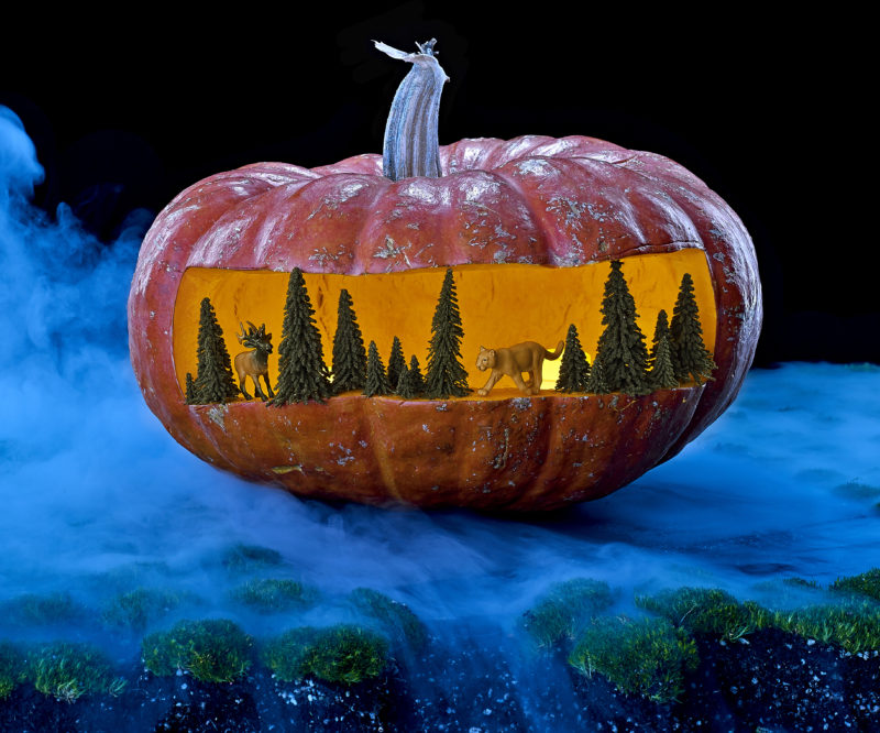 Pumpkin Carving Ideas Sunset Magazine