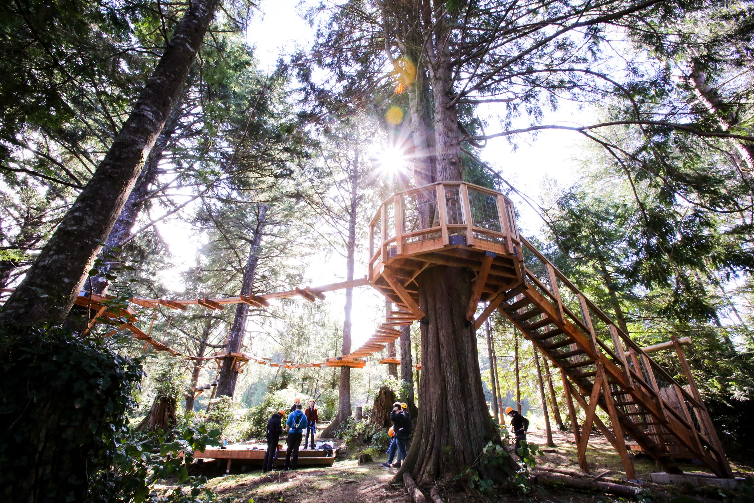 Aerial Park.jpg