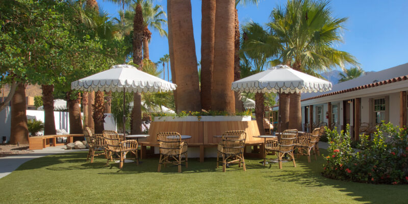 Bench-surrounding-palm-trees-in-garden-at-Dive-Palm-Springs-hotel.jpg