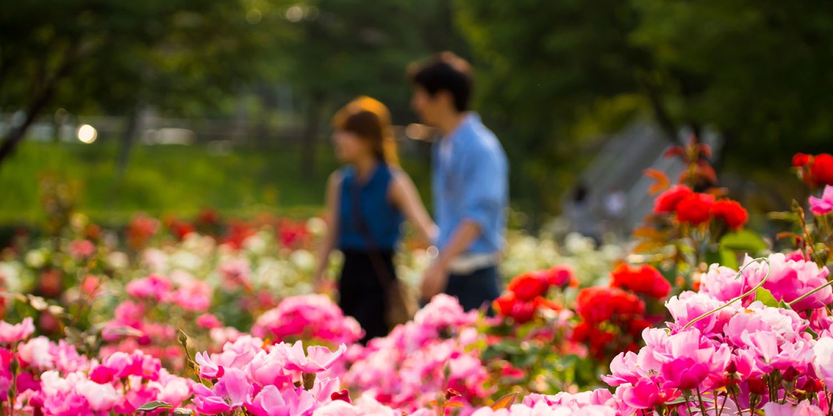 Best Public Gardens of the West