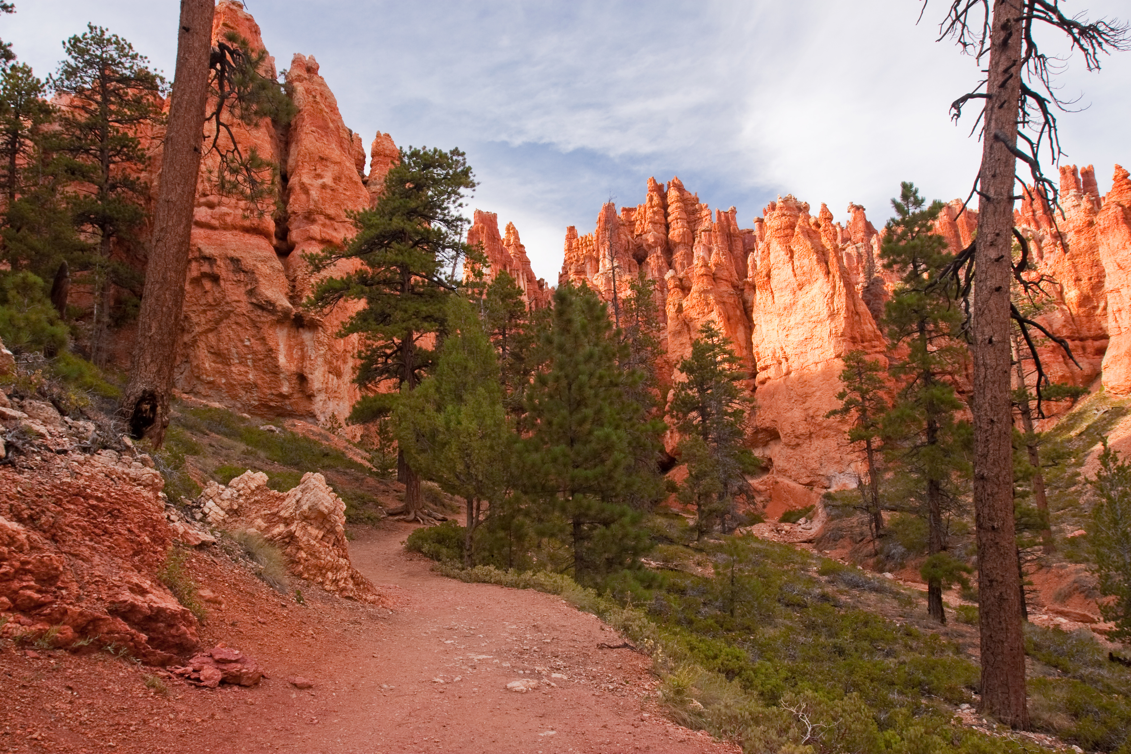 Bryce Canyon NP_Matt Morgan.jpg