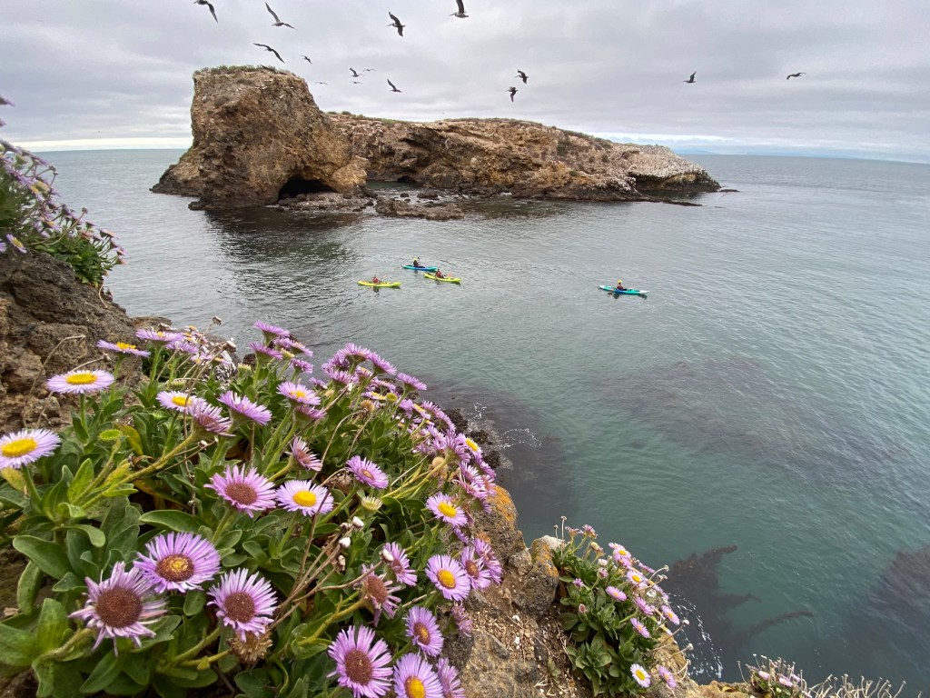 Human-Caused Wildfires Have Broken out in One of California's Most Beloved National Parks