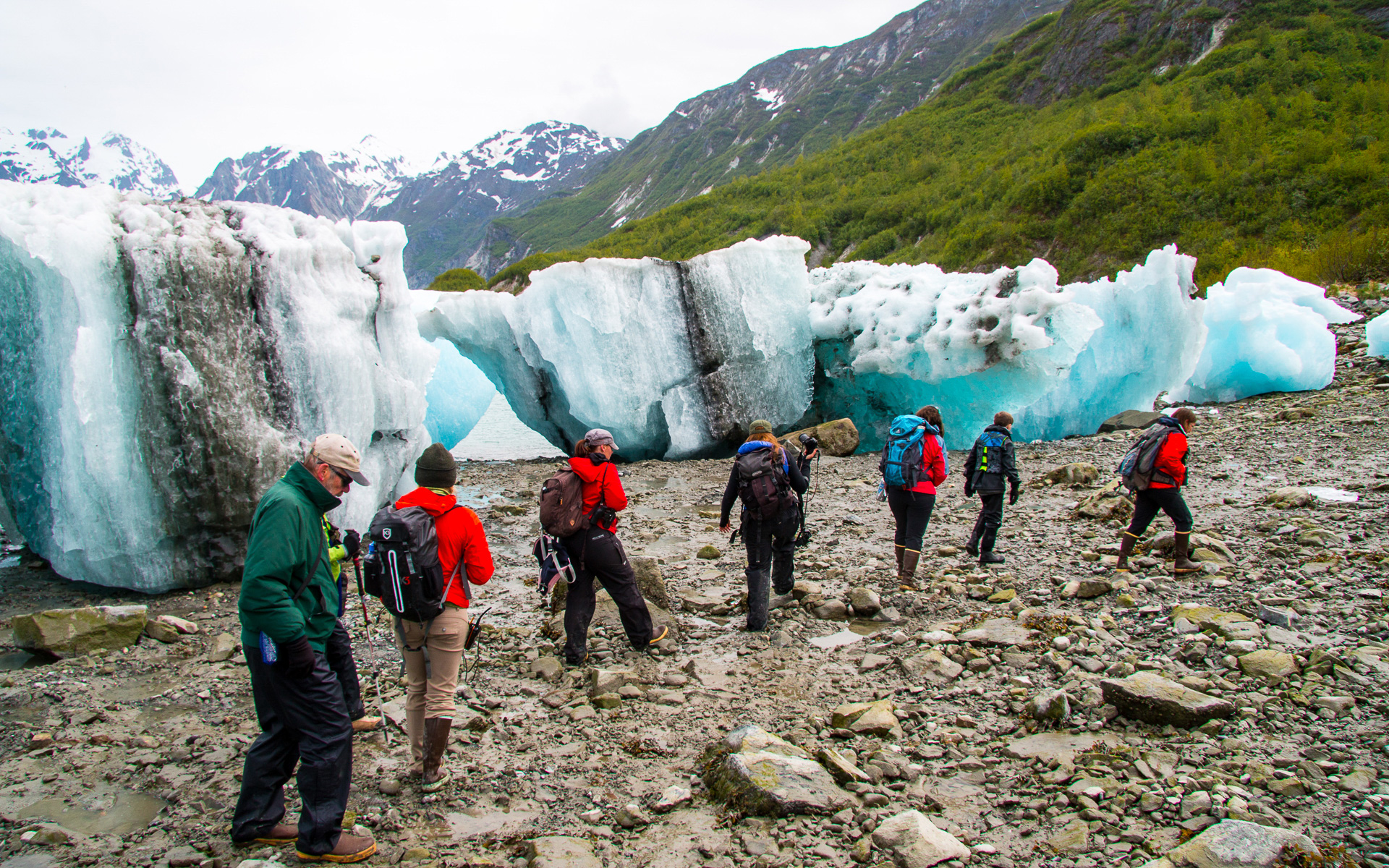 arrive-by-ship-then-explore-alaska-on-foot-right-up-to-remote-icefields-with-expert-guides-leading-the-way