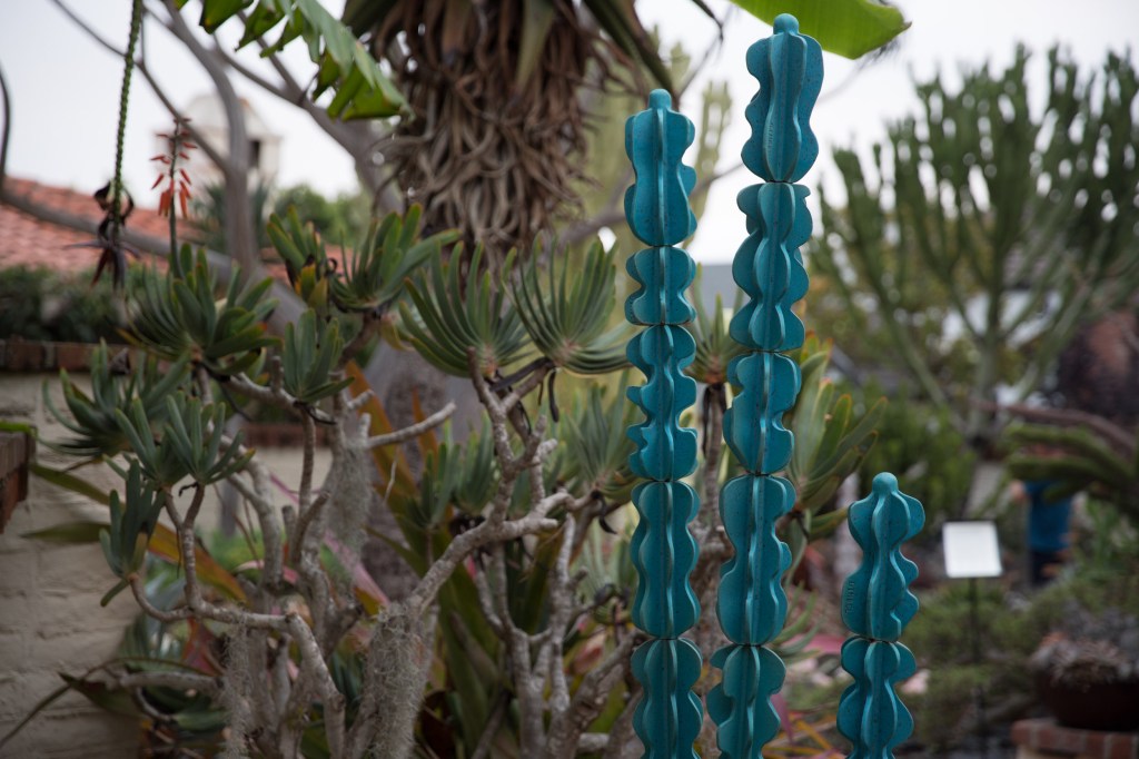 The Cactus That Will Live in Your Garden Forever