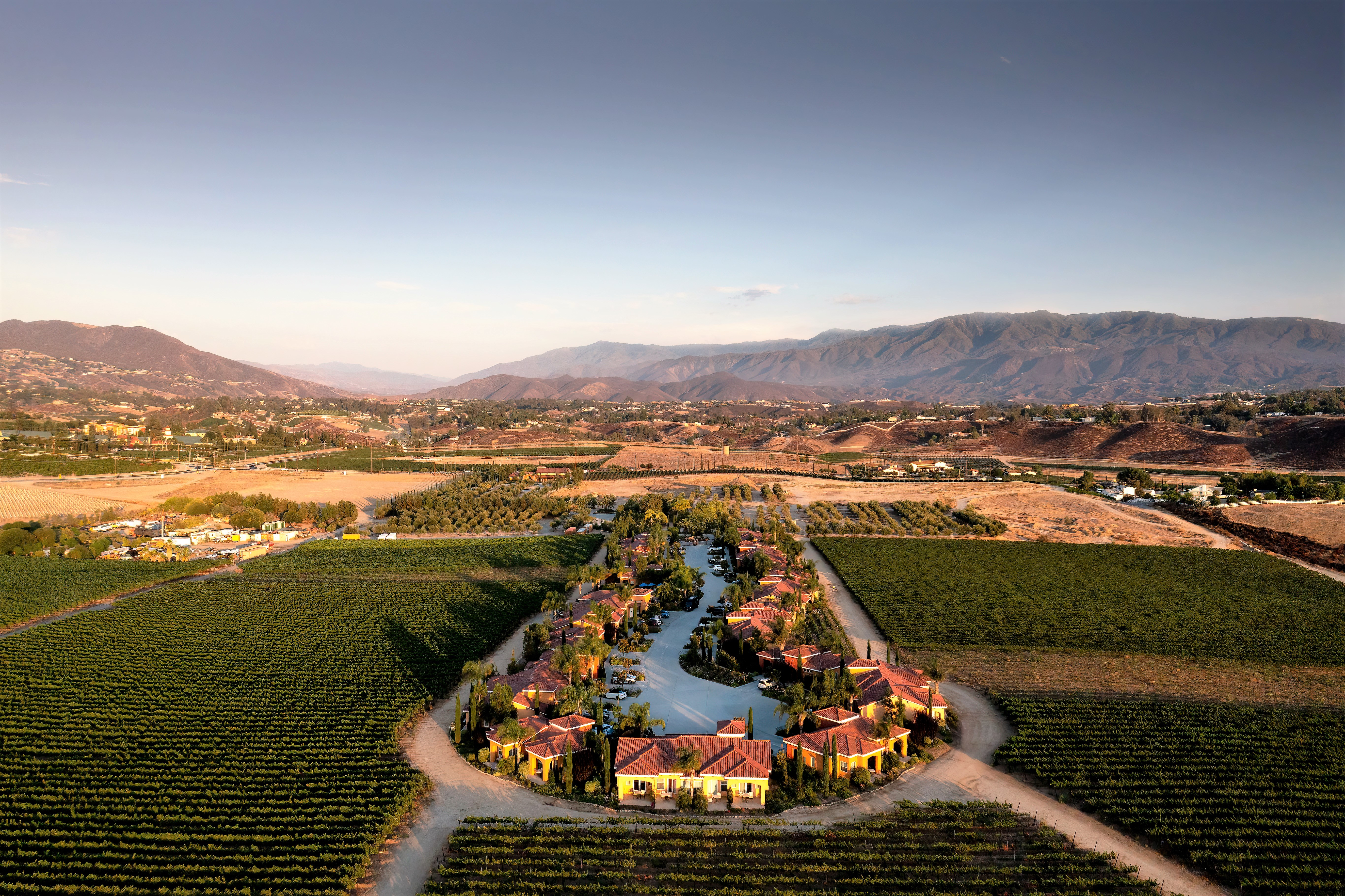 CarterEstateWinery_Overview 1.jpg