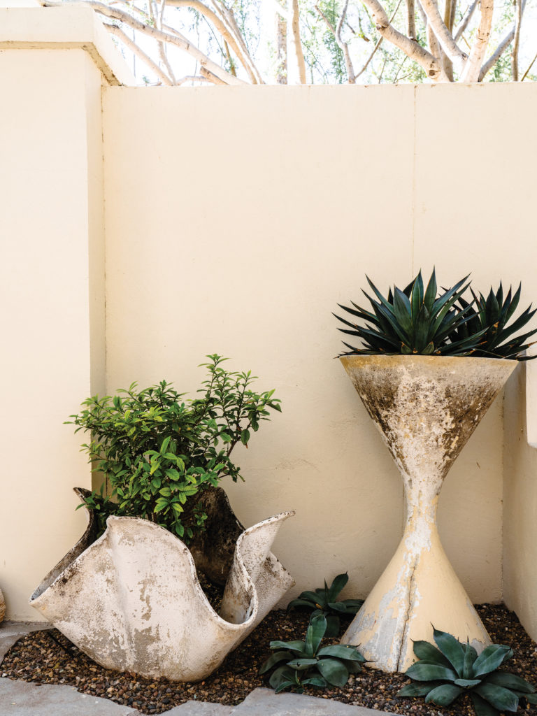 Willy Guhl planters in Arizona backyard