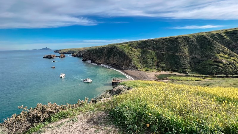 Channel Islands Adventure Company