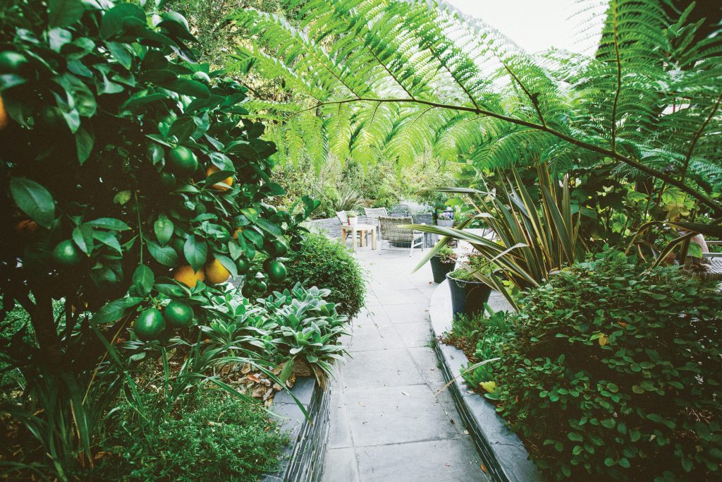 Beat the Heat: Your June-July Garden Checklist