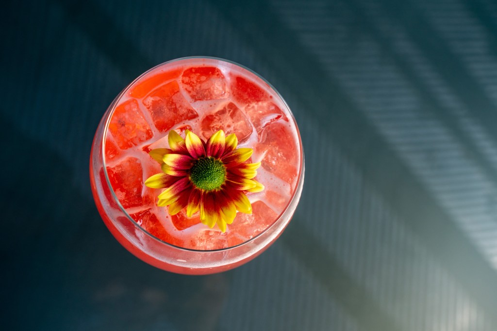 Cocktail.jpg