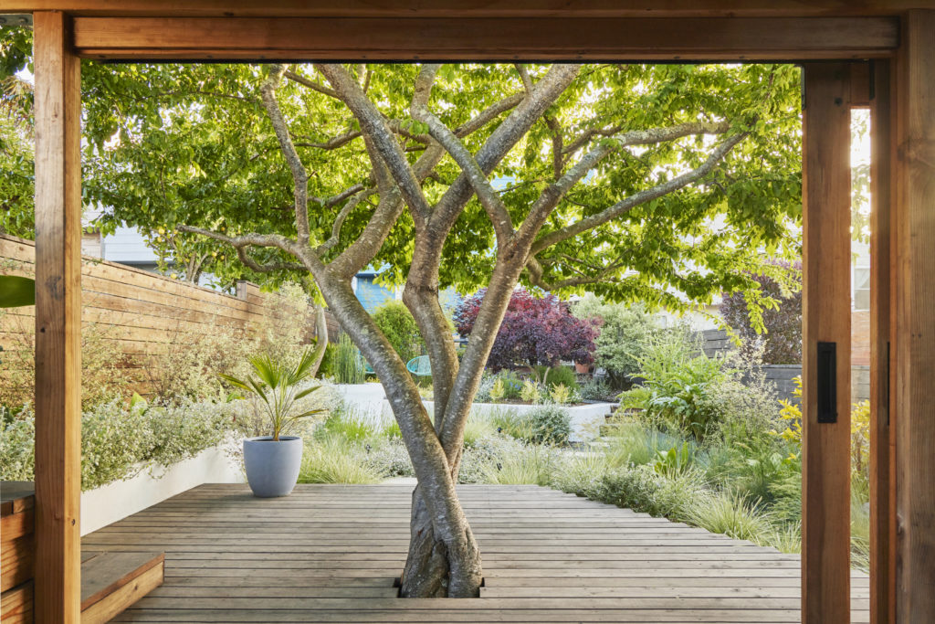 A Cabana that opens out to the hot tub makes full use of a San Francisco Garden