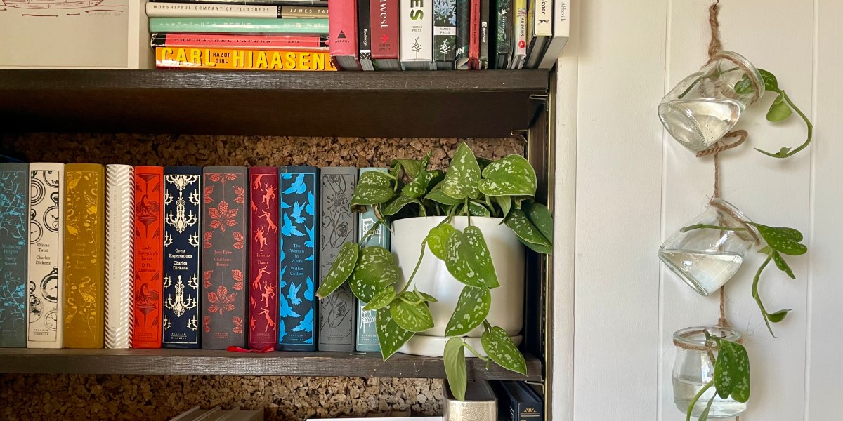 Jars/plant propagator next to bookshelf