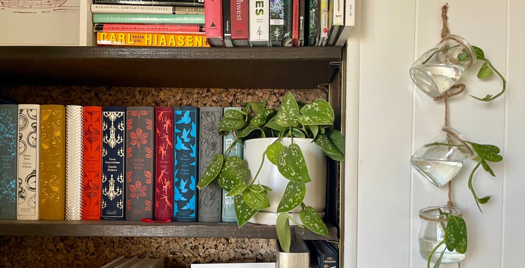 This Easy DIY Makes the World’s Cutest Plant Propagator