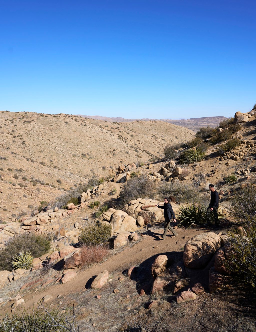 The Desert's Best-Kept Secret Is This Breathtaking Preserve Near Joshua Tree
