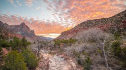 Zion National Park